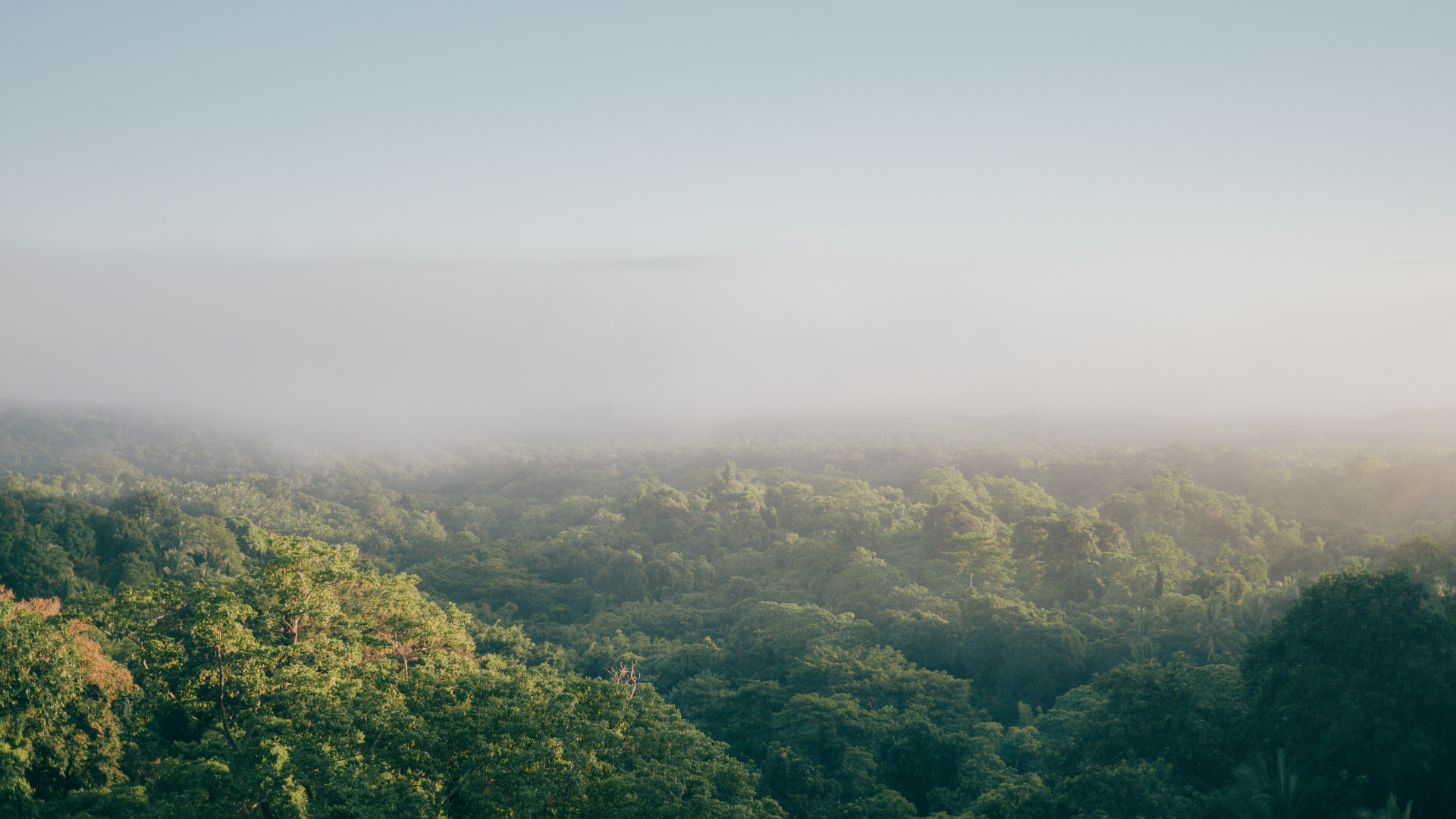 Product Showcase: Sustainable Brands