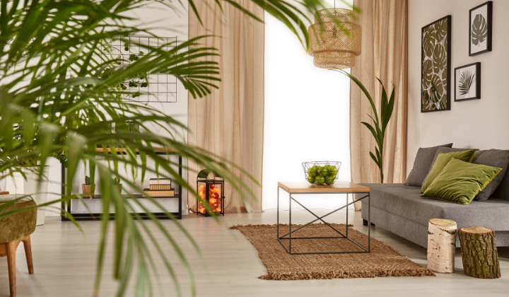 Biophilic Interior Design