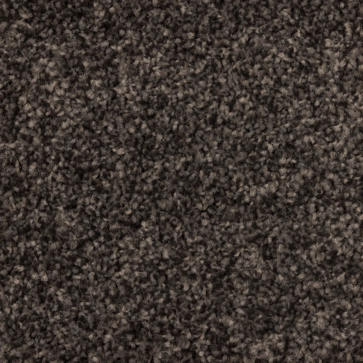 Whisper Trail Carpet