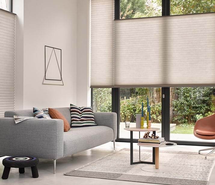 Duette Shades