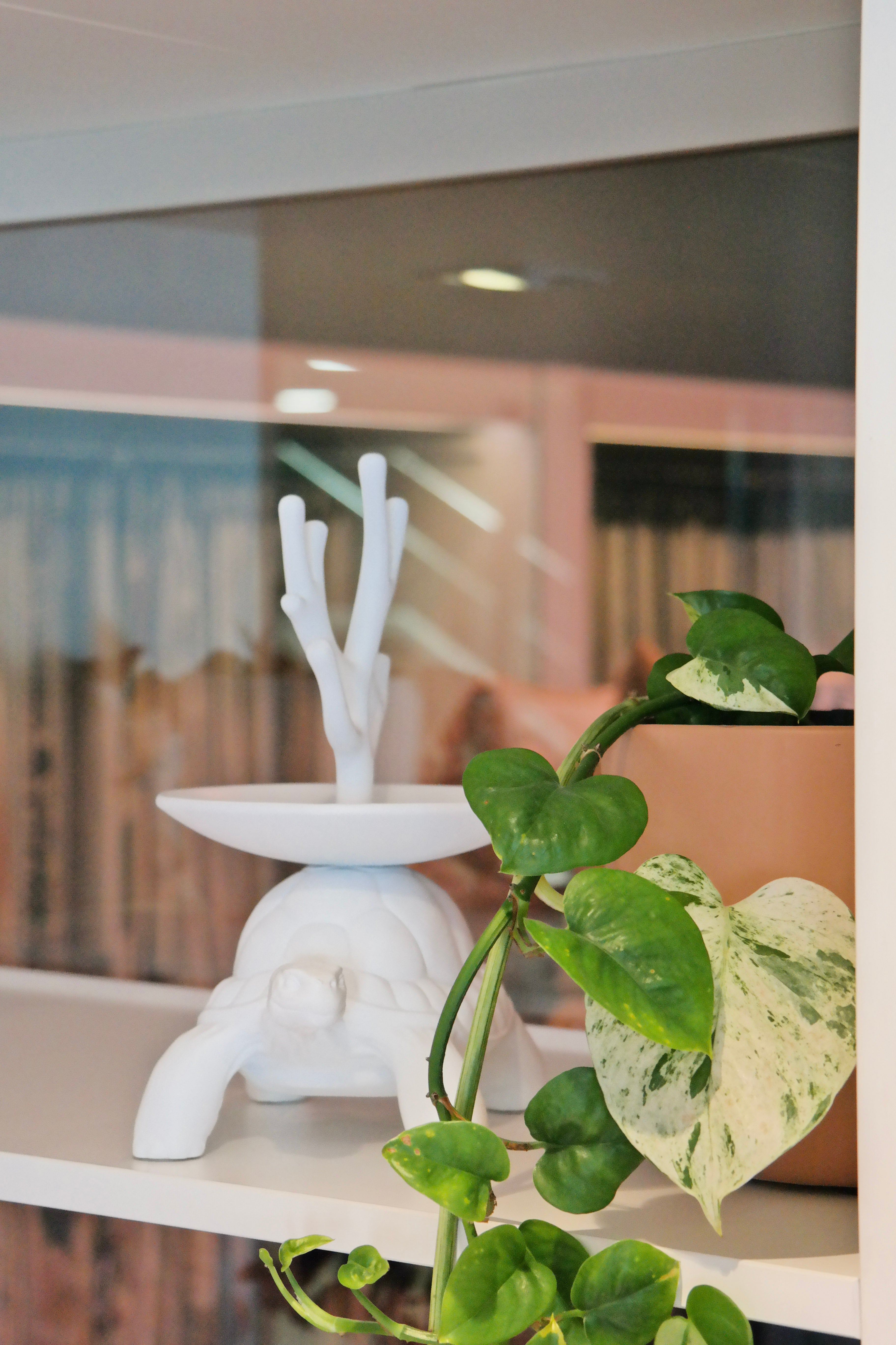 Turtle Carry XS Jewelry Tree