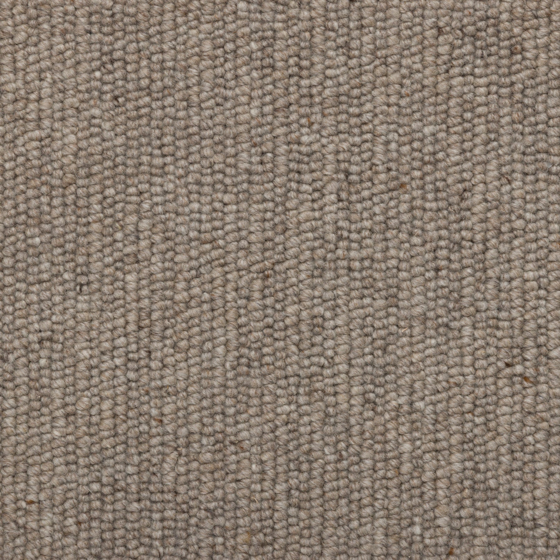 Untouched Wool Carpet