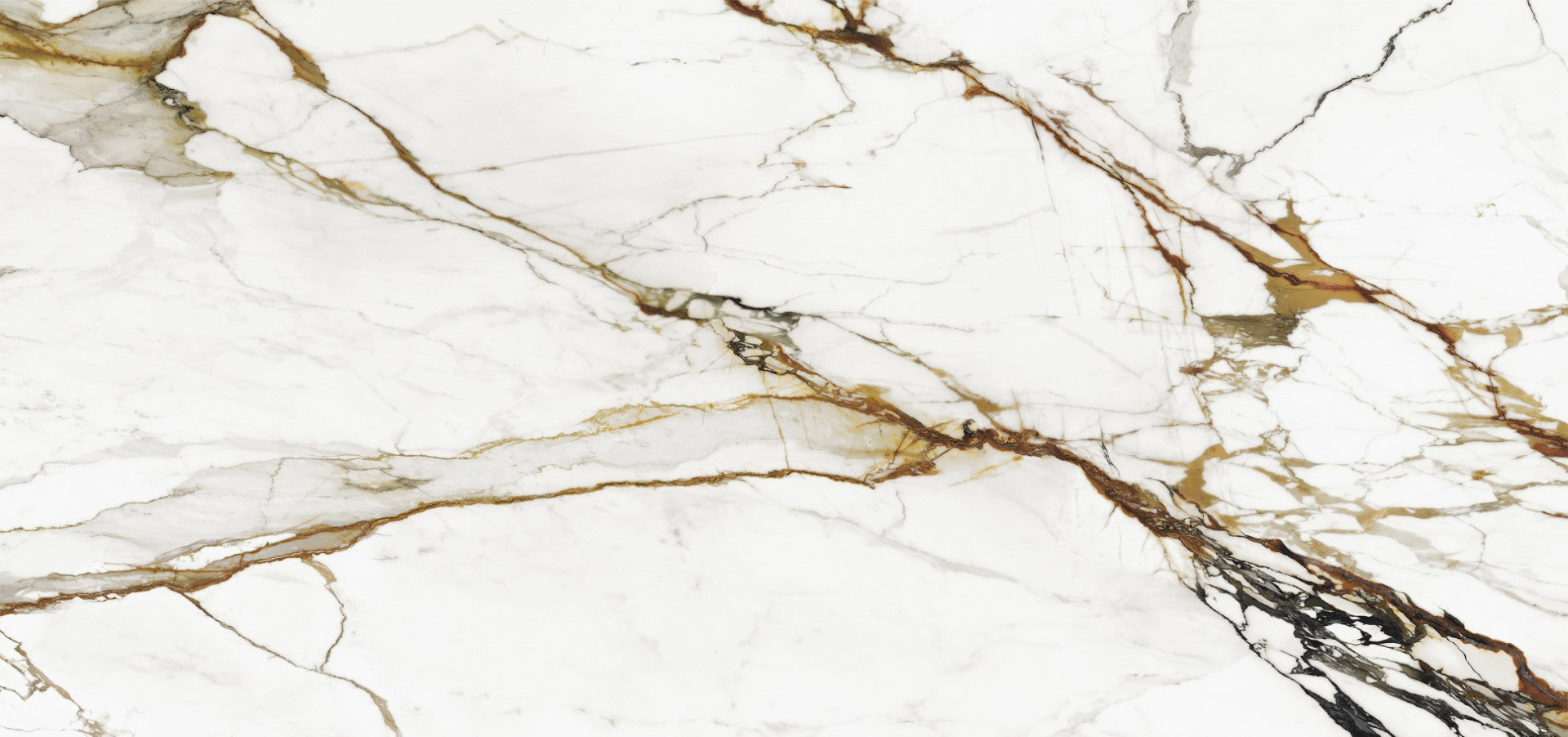 Paonazzo Biondo Silk