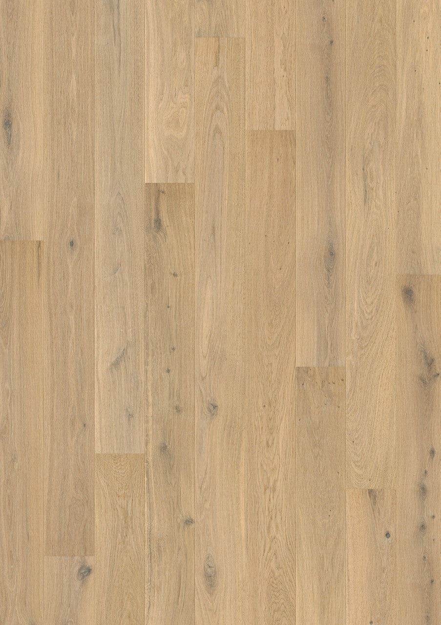 Amato Timber