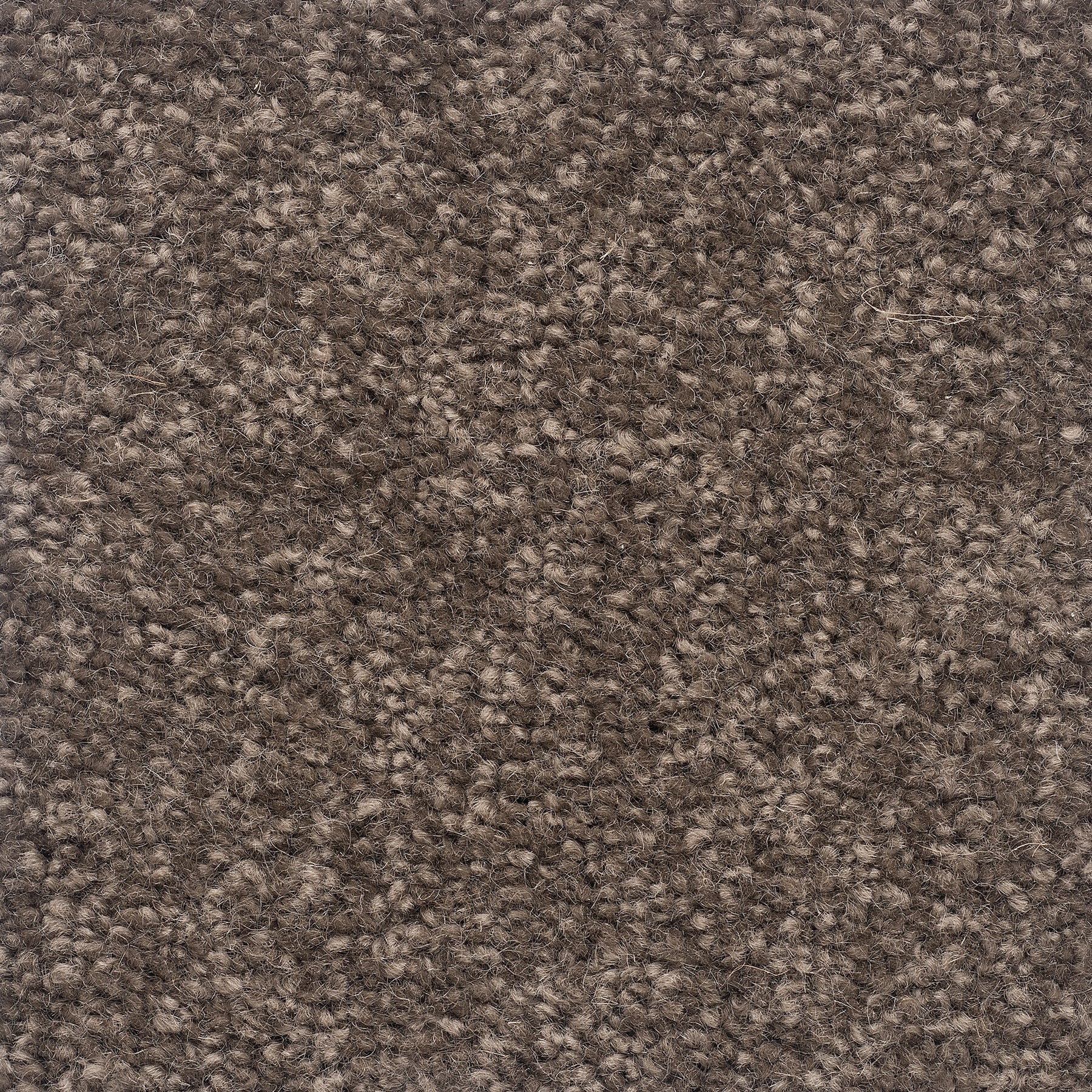 The Hamptons Wool Carpet