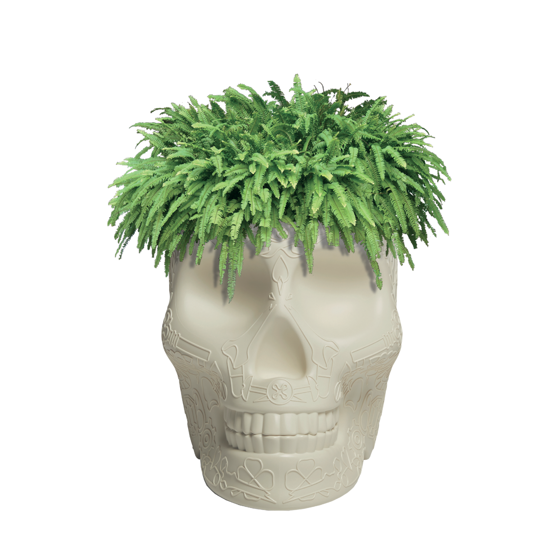 Qeeboo Mexico Planter and Champagne Cooler - Ivory