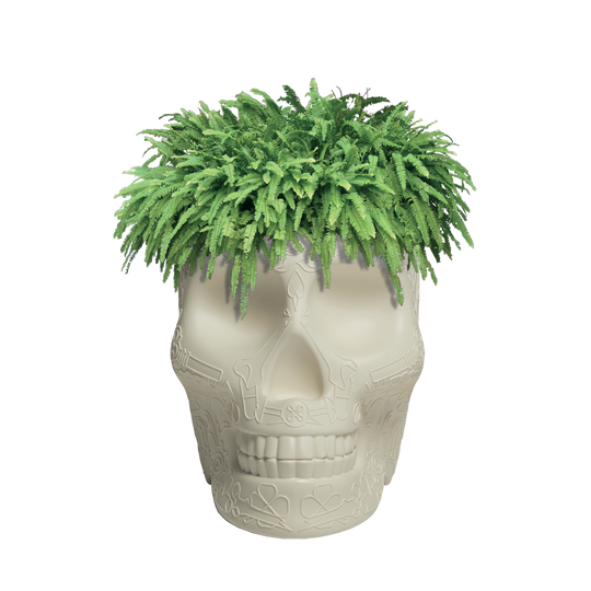 Qeeboo Mexico Planter and Champagne Cooler - Ivory