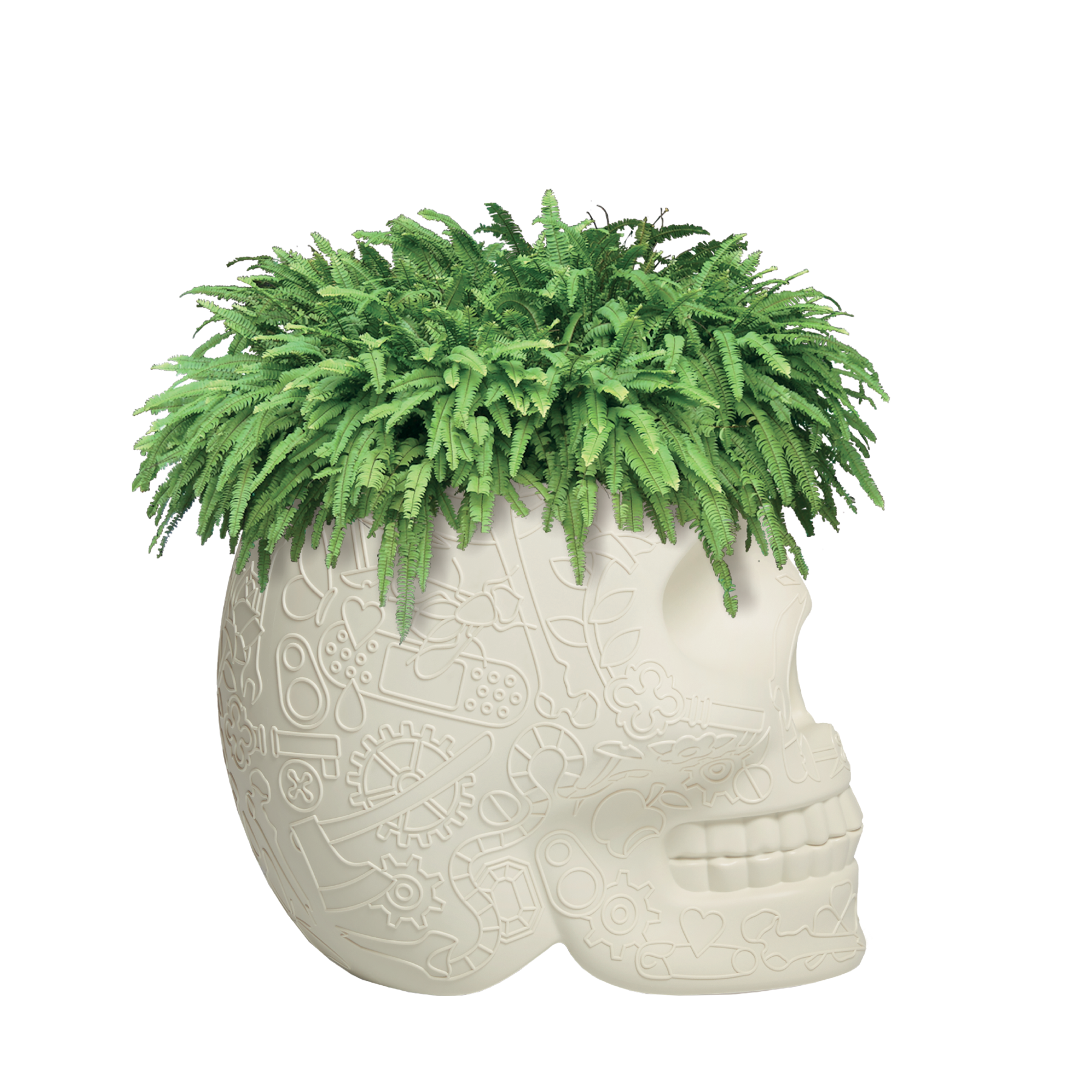 Qeeboo Mexico Planter and Champagne Cooler - Ivory