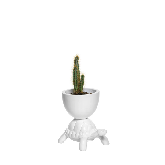 Turtle Carry XS Planter