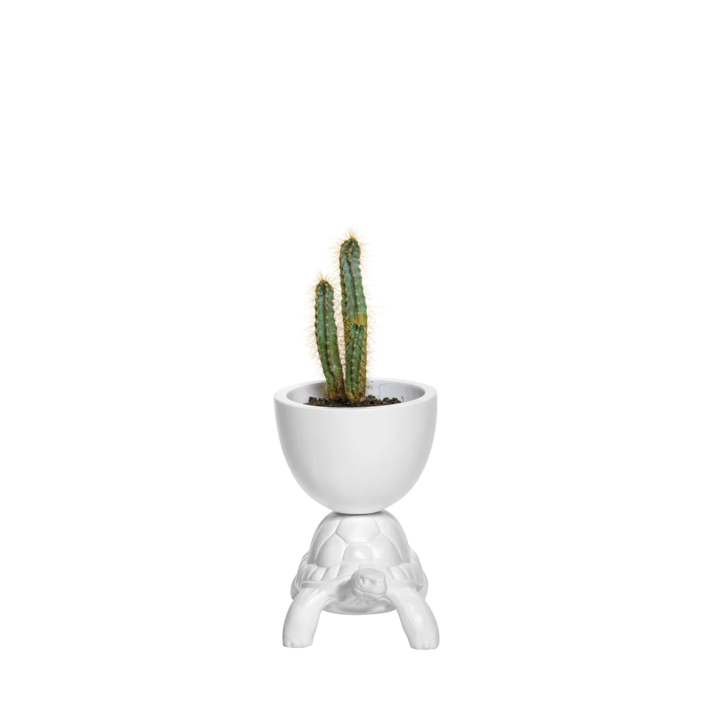 Turtle Carry XS Planter