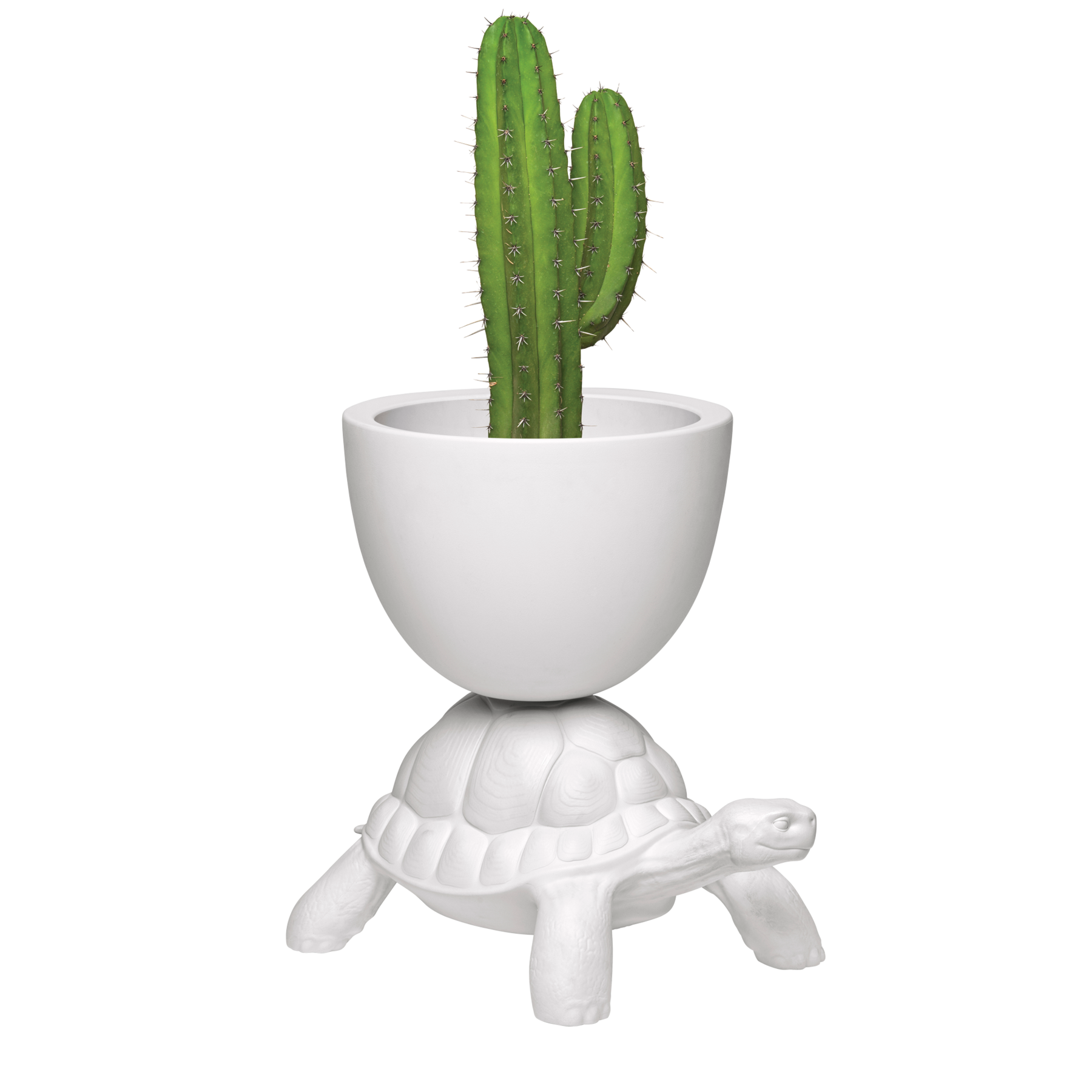 Qeeboo Turtle Carry Planter and Champagne Cooler - White
